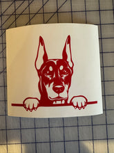 Load image into Gallery viewer, Doberman Pinscher dog car decal