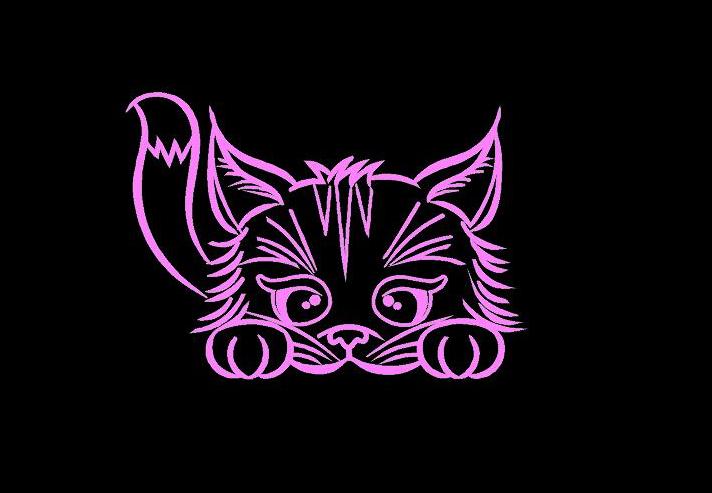 Bad Kitty Vinyl Decal Sticker – Choose Color, USA Made, Oracal