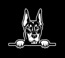 Load image into Gallery viewer, peeking doberman pinscher decal car truck window dog sticker