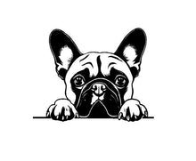 Load image into Gallery viewer, Peeking Frenchie dog car decal