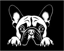 Load image into Gallery viewer, Peeking Frenchie dog decal