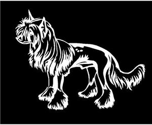 chinese crested dog decal car truck window sticker