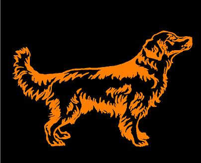 Golden Retriever a bordo - Adesivo per finestrino auto - Cartello per cane guida - V01 - Italia Golden Retriever a bordo - Adesivo per finestrino auto - Cartello per cane guida - V01 - Italia
