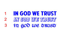 Load image into Gallery viewer, in god we trust sticker