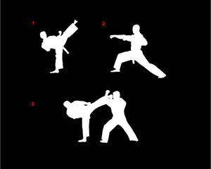 karate silhouette decal martial arts car truck window sticker
