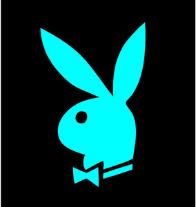 playboy bunny sticker